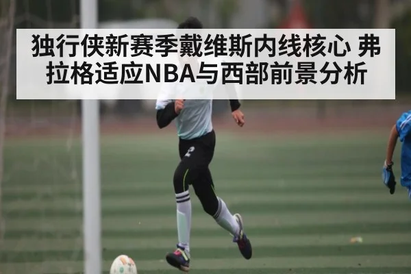 独行侠新赛季戴维斯内线核心 弗拉格适应NBA与西部前景分析