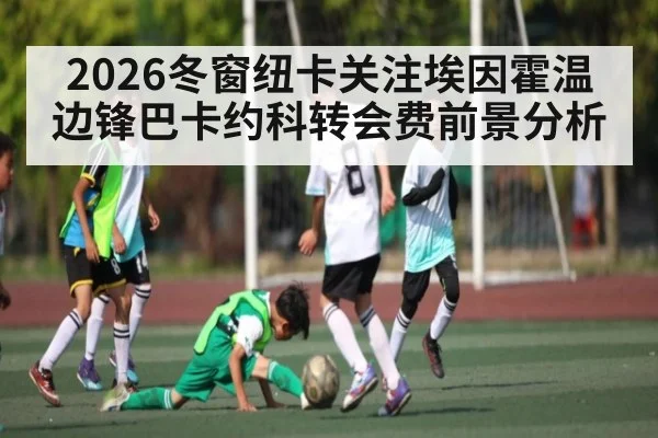 2026冬窗纽卡关注埃因霍温边锋巴卡约科转会费前景分析
