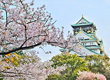 世界杯官方平台-阿森纳可能今日解雇埃梅里 永贝里临时接班？